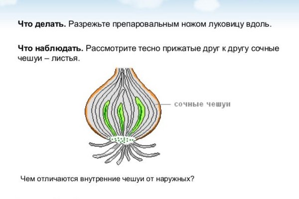 Кракен ссылка bazaonion com